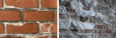 salpeter verwijderen bij vochtige muren online advies