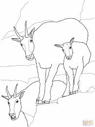 Download or print goat coloring pages for free plus other related goat coloring page. Mountain Goat Coloring Page Family Coloring Pages Animal Coloring Books Sports Coloring Pages