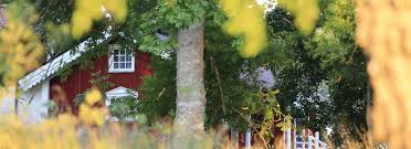 Kleiner baurenhof in den karpaten / banat / rumänien 38.000 eur | superangebot haus und bauland 6300m2 in ampoita fuer 39.000.00 39.000 eur | 120 ha in rumanien zu verkaufen 3.990 eur | 120 ha in rumanien zu verkaufen 3.990 eur | Bauernhof Kaufen Bauernhofe Auch In Alleinlage Finden Bei My Landimmo