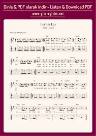 Nota Panosundaki Pin