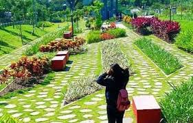 Desa ini hanya berjarak sekitar 25 km saja dari kota yogyakarta, namun jika hendak diukur dari wonosari, jaraknya hanya 20. Taman Hijau Slg Harga Tiket Masuk Rute Dan Fasilitas