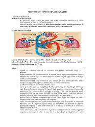 Rezumat Circulatia Docx