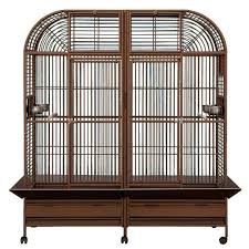 Extra Large Bird Cage For Sale Cheap Kings Cages Superior Line Slt 6432 Parrot Cage 64x32x70 Extra Large Bird Cage Toy Toys Macawscockatoos Coppertone Review Htt Large Bird Cages King Cage Macaw