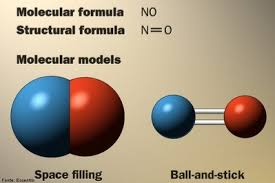 Óxido nítrico - Disciplina - Química