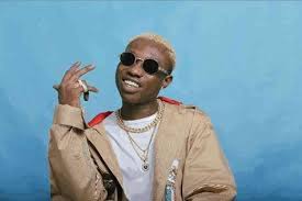 Dis page is 4 music and dancing. Zlatan Ibile Net Worth