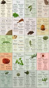 Herb Spice Chart Common Sense Evaluation