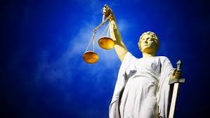 Image result for Justicia engleriana