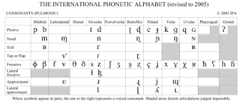 The Ipa Consonants Part I Place Of Articulation