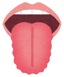 舌の輪郭がでこぼこしている | ブログ | ozasa clinic HP 2023 さん