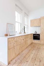 10 Remarkable Minimalist Kitchen Appliances Ideas Plywood Kitchen Kitchen Design Apartment Renovation