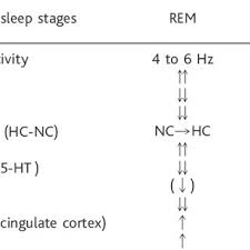 Pdf Sleep Learning And Dreams Off Line Memory Reprocessing