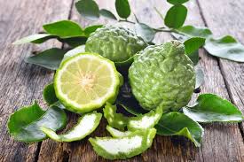 Lime trees are planted during spring when the fear of frost is not there. Kaffir Lime Grow Your Own For Leaves And Fruit