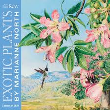 We did not find results for: Kew Gardens Exotic Plants By Marianne North Wall Calendar 2021 Art Calendar Amazon Co Uk Flame Tree Studio 9781787559967 Books