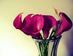 Dreamstime is the world`s largest. The Best Flowers For Decoration In Each Room