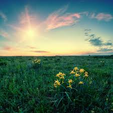 As for the other types of. Most Beautiful Scenery Of Nature Stock Photo 04 Free Download