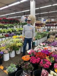 Roy also got a job with jack mayesh wholesale at that time, selling flowers until he finally bought the company, opening its new doors on october 1st, 1978. The Original Los Angeles Flower Market 560 Photos Florist 754 Wall St Between 7th 8th Los Angeles Ca 90014