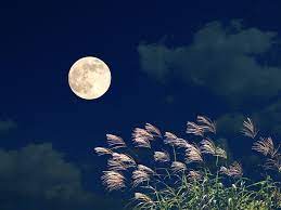 Tsuki Ga Kirei As The Moon So Beautiful Inspired Quote Zedicus Thinks V