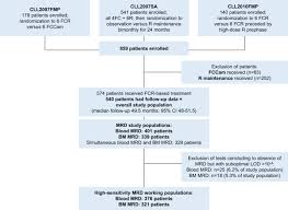 Travaux de l�inventeur de la photographie, collection d�appareils photographiques anciens. Prognostic Value Of High Sensitivity Measurable Residual Disease Assessment After Front Line Chemoimmunotherapy In Chronic Lymphocytic Leukemia Leukemia
