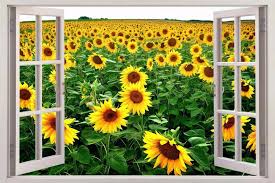 Bunga bernama ilmiah helianthus annus itu tidak lagi bergerak seiring matahari. Gratis Pengiriman Cukup Bunga Matahari Jendela 3d Dinding Decal Seni Tahan Air Yang Dapat Dilepas Wallpaper Hutan Mural Stiker Vinil Stiker Dekorasi Rumah Home Decor Mural Sticker3d Wall Decals Aliexpress