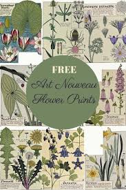 If your music library is missing cover artwork, then you need a free album art downloader to automatically seek and download album cover artwork. Beautiful Free Art Nouveau Flower Prints To Download Art Nouveau Flowers Art Nouveau Flowers Illustration Free Art