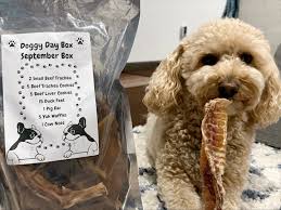 Seriously though. You have to get a Doggy Day Box of your own! So much  yummy goodness in one box! 😋🐾🩵🥰 Get yours today from @doggydaybox 20%  off w/code: AUSTIN20 1st subscription