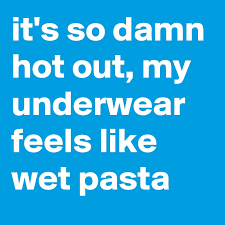 Rob … and hello, it's rob here. It S So Damn Hot Out My Underwear Feels Like Wet Pasta Post By Goatsarefunny On Boldomatic