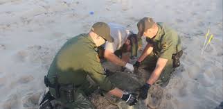 Ice agent salary and job outlook. Rio Grande Valley Border Patrol Agents Make Unusual Rescue U S Customs And Border Protection