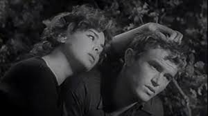 Erik Molnar: Películas, biografía y listas en MUBI