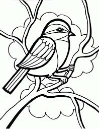 Newer posts older posts popular post. Coloring Pages Spring Birds Coloring Pages For Kids