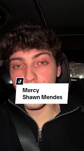 Singing Mercy Shawn Mendes in Car