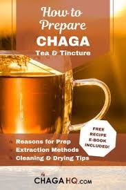 Boil the mixture for 30 to 45 minutes. 15 Best Chaga Tea Recipes Ideas Chaga Tea Chaga Tea Recipes Chaga