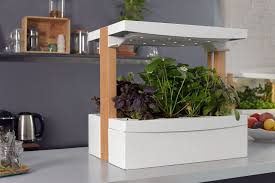 Check spelling or type a new query. Fresh Square Le Potager D Interieur Qui Fruits Et Legumes
