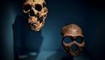  Neanderthal nose: All the better to breathe with