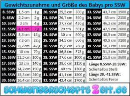 11 Ssw Bauch Entwicklung Geschlecht Ultraschall