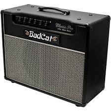 Take a close look at the stylish with amazing designs. Bad Cat Classic Pro 20r Usa Player Series 20w 1x12 Guitar Combo Amp Musician S Friend
