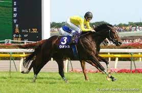 Copyright © 2021 カラオケうたてん all rights reserved. ãƒ¬ãƒ¼ã‚¹å¾Œ æ€ã‚ãšæ³£ã„ã¦ã—ã¾ã£ãŸãƒ¬ãƒ¼ã‚¹ã¯