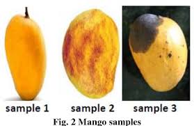 Check spelling or type a new query. Ripening And Quality Detection Of Mango Using Arduino Semantic Scholar