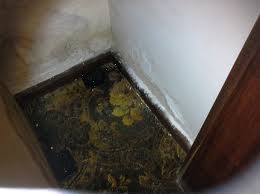 Peeling paint or wallpaper on your walls. Leaking Shower Stalls Building Inspections Perth