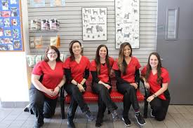 Sierra pet clinic in truckee, ca, is a full service companion animal hospital. Registered Veterinary Technician Week October 14 20 Sierra Veterinary Hospital