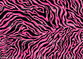  Pink Zebra Background In 2021 Zebra Background White Animal Nursery Zebra Skin Pattern