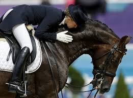 The 22 Types Of Olympic Kissing Dressage Horses Equestrian Dressage Horses