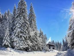 The tour was perfect, stays in comfortable and cosy hotels in the cities' centre and travelling in a comfortable suv. Igman Mountain By Safet Isovic Be In Bosnia