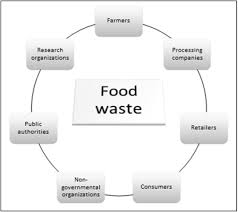 Ora chi vede il film nuovo e bravo chi non lo vede e. Toward The Creation Of Novel Food Waste Management Systems A Network Approach Sciencedirect