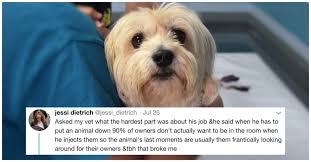 It's a highly individual decision. Vet Begs Pet Owners To Stay With Their Animals In Dying Moments Littlethings Com