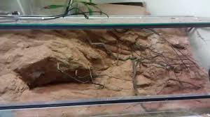 Desert Terrarium Bearded Dragon Vivarium Terrarium