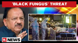 Black fungus can be treated with amphotericin b, bbc news reported ; Black Fungus Infection Centre Issues Advisory On Mucormycosis Treatment For Covid 19 Survivors Youtube