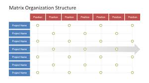 matrix organization structure