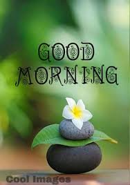 20 Good Morning Images Good Morning Images With Quotes In 2020 Latest Good Morning Images Good Morning Images Very Good Morning Images