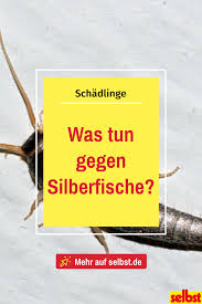 Was Tun Gegen Silberfische Selbst De Silberfische Fische Silberfische Bekampfen