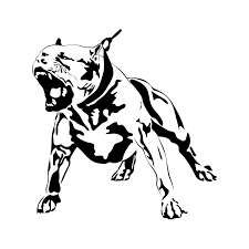 Pin On Animal
